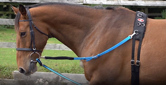 Webbing Side Reins - Snap End