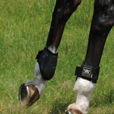Woof Wear Fetlock Boots