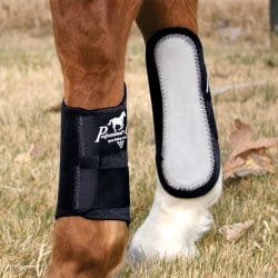 Endurance Horses and Exercise Boots