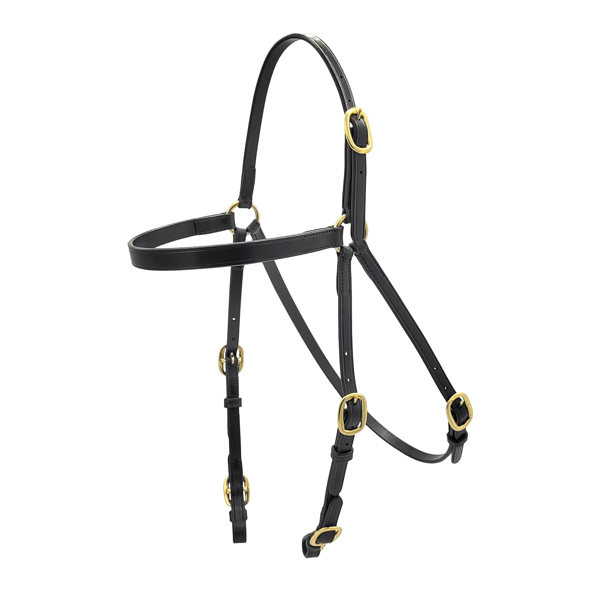 Track Wise Ring Head Race Bridle