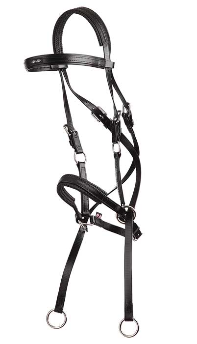Bitless Bridle