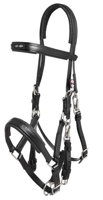 Marathon Bridle Arab Size