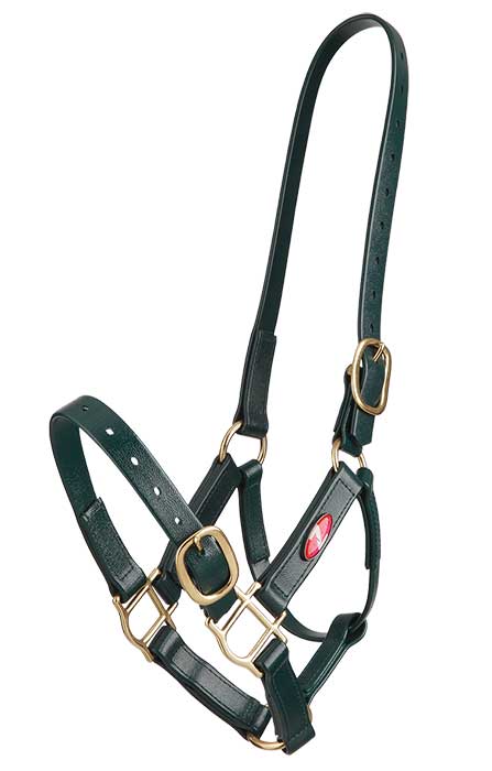 Zilco 25mm PN Headstall