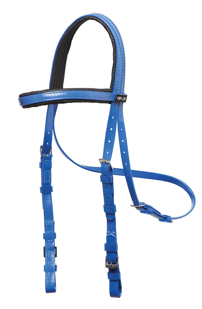 Padded Bridle Head