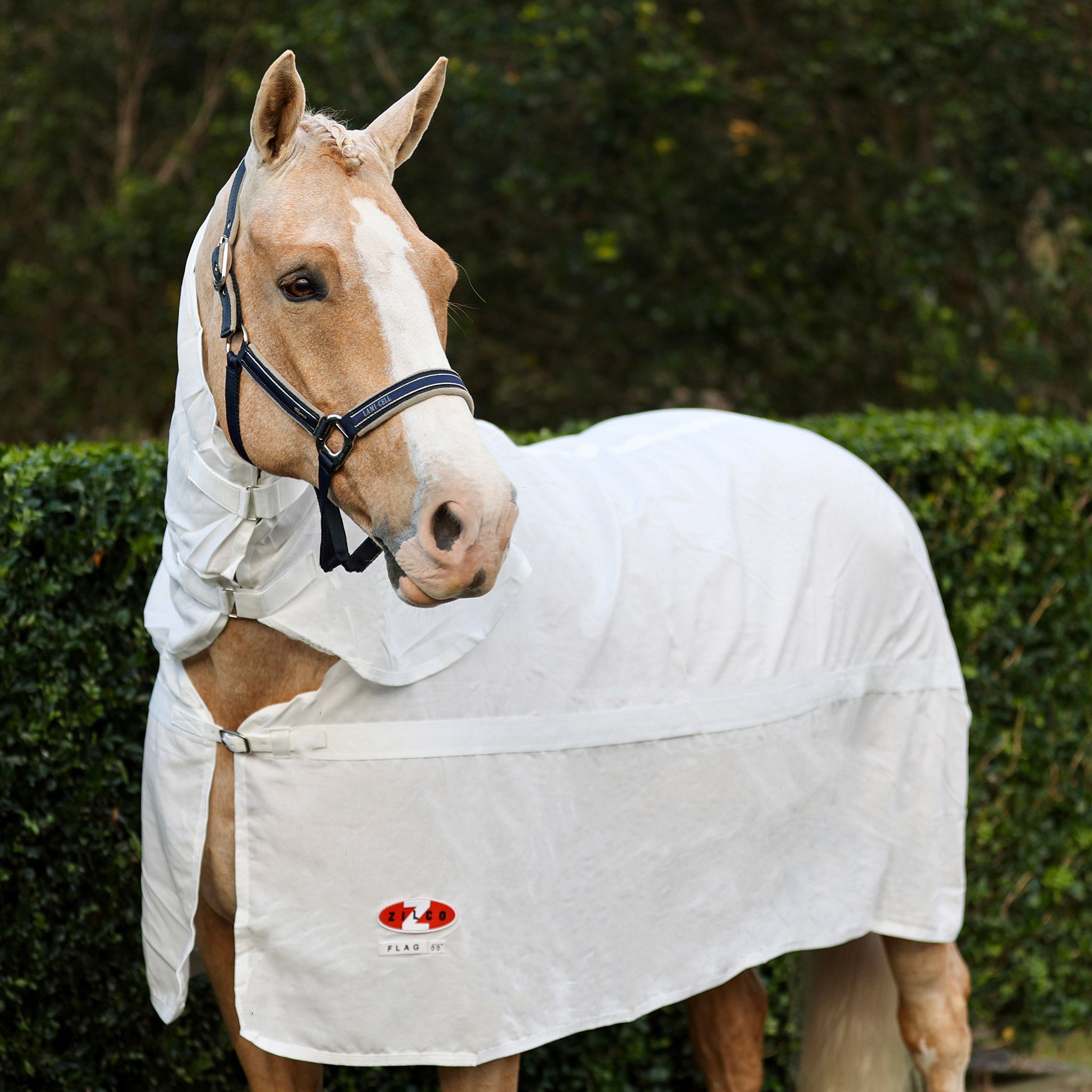 Zilco Flag Combo Rug