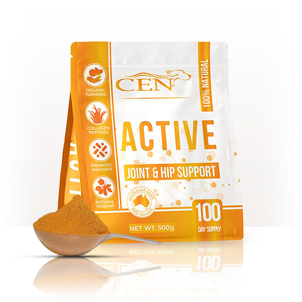 CEN Dog Active 500g