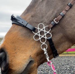 Flower Hackamore