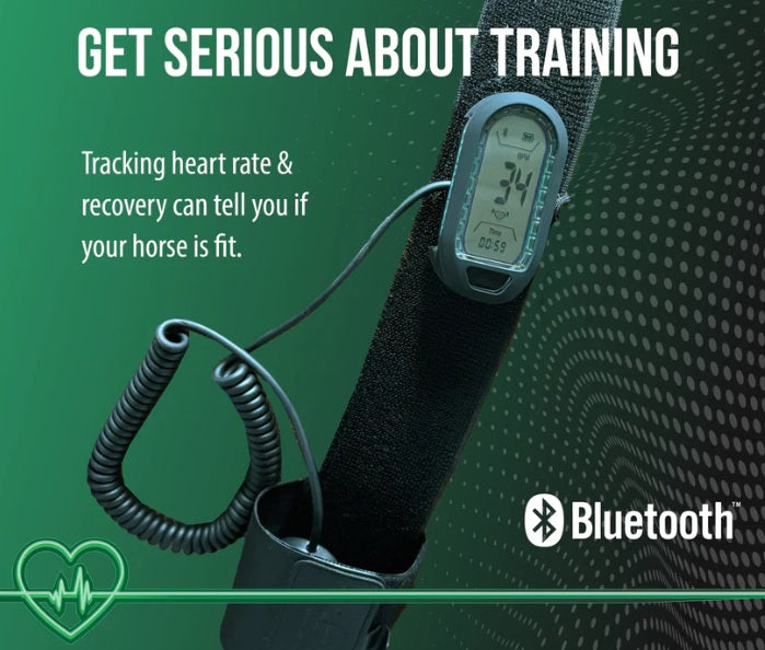 HORSEPAL TRAINING BELT - FOR RIDING & STRAPPING