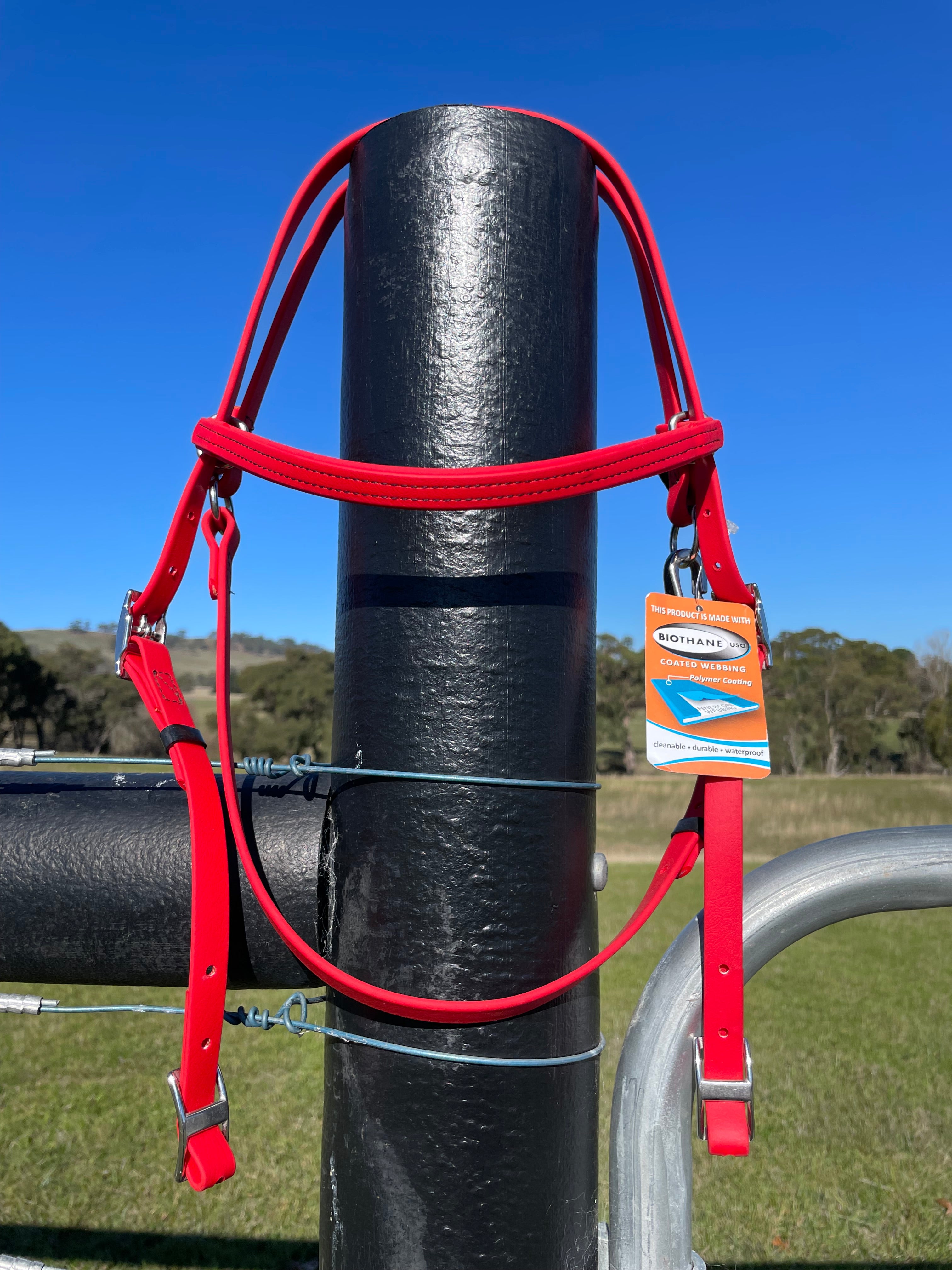 Beta Biothane Bridle - Medium Weight Hardware