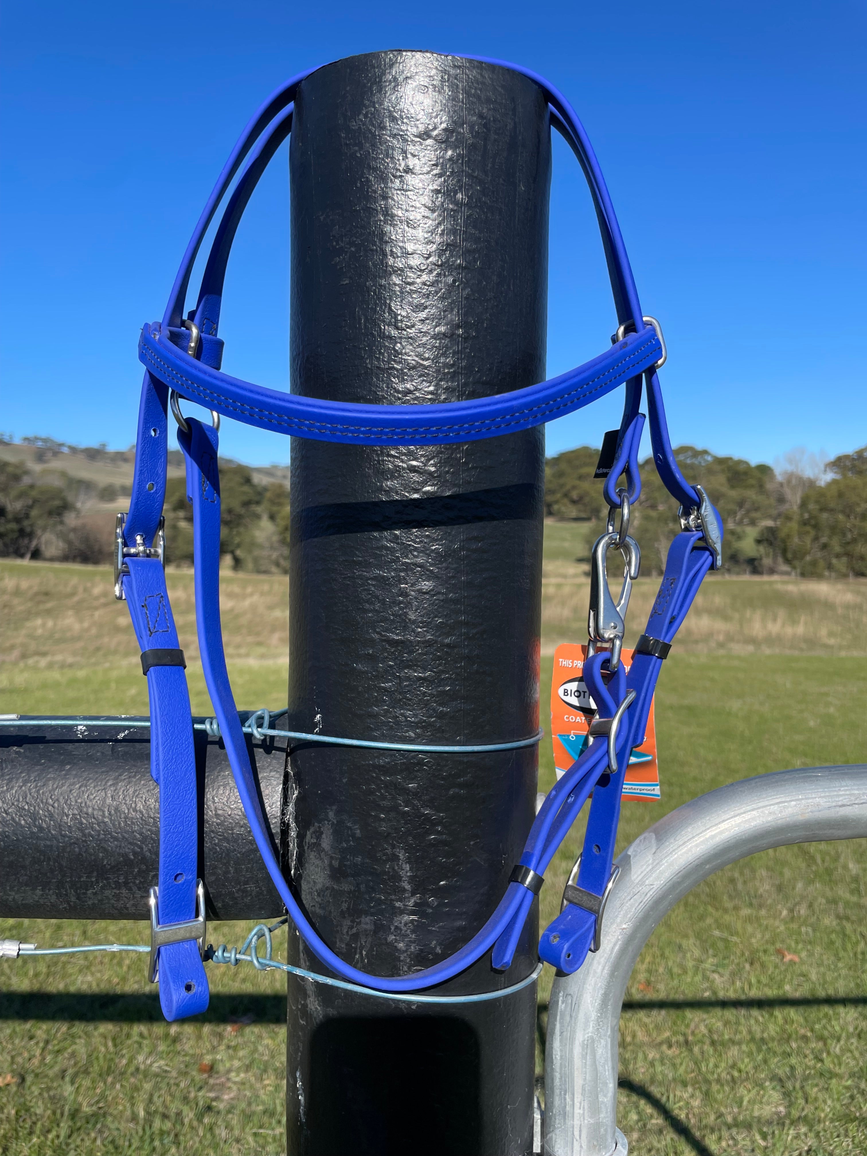 Beta Biothane Bridle - Medium Weight Hardware