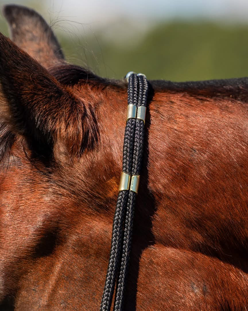 Be-Nice Control Halter
