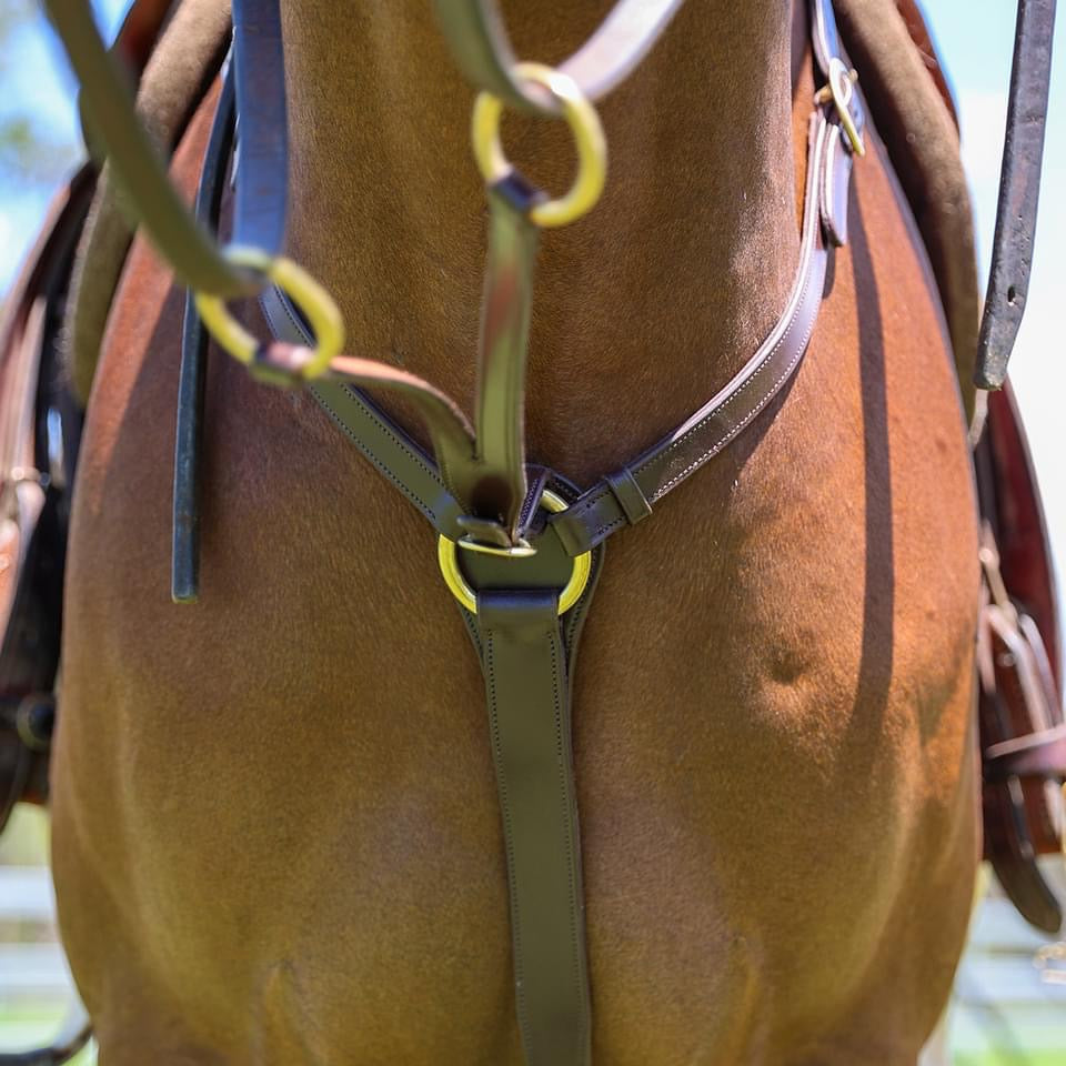 Oregon Bling Stockman Breastplate