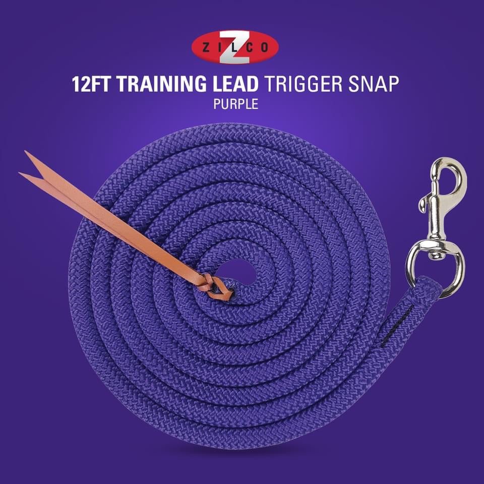 Training Lead-Trigger Snap