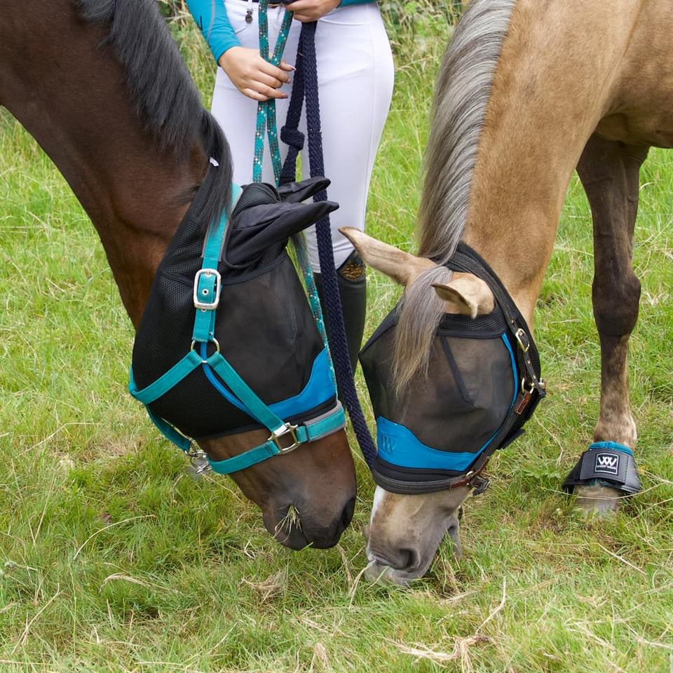 Woof Wear UV Flymask without Ears