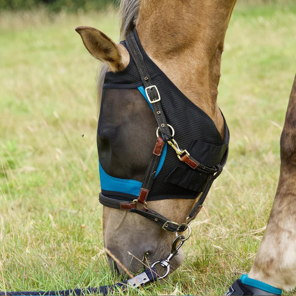 Woof Wear UV Flymask without Ears