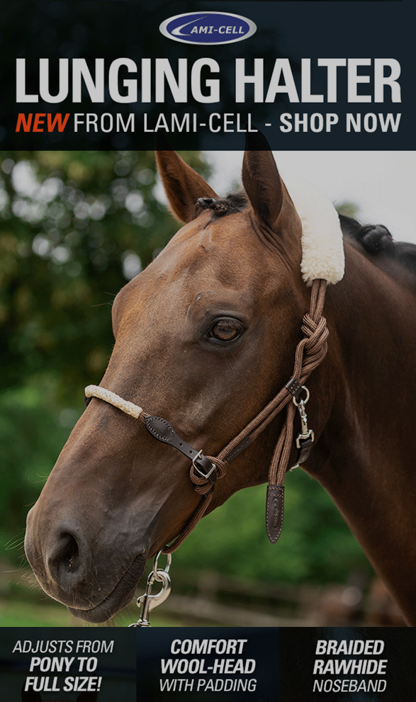 Lami-Cell Lunging Halter