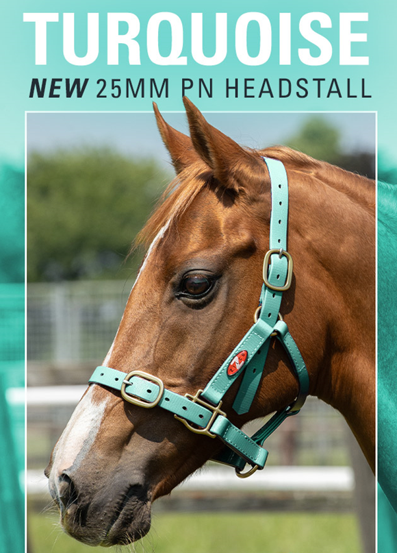 Zilco 25mm PN Headstall