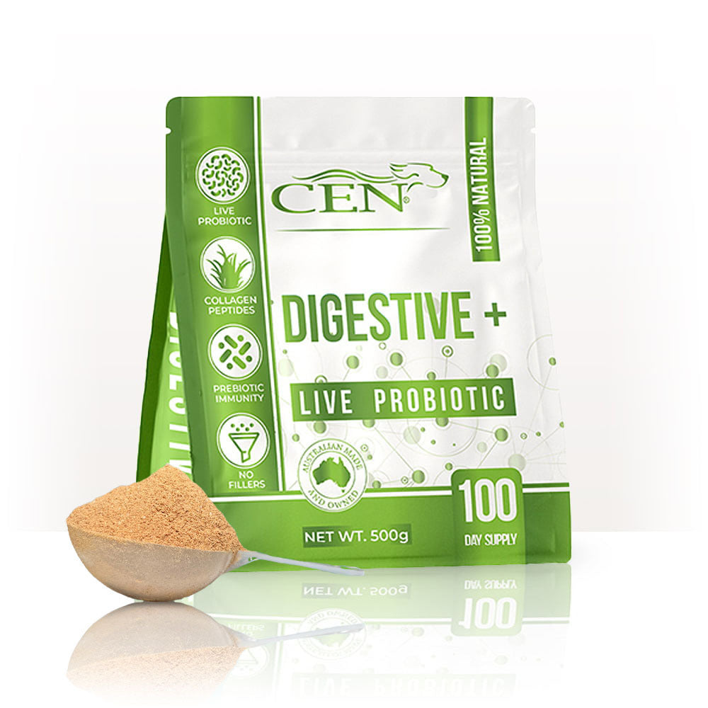 CEN Dog Digestive+ 500g