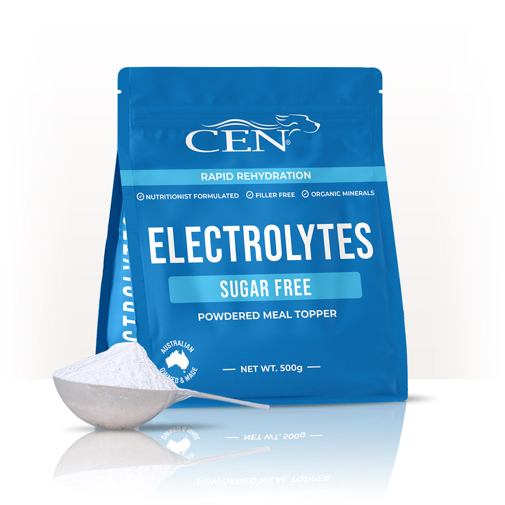 CEN Dog Electrolytes 500g