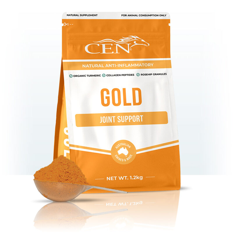 CEN Gold Horse Joint Supplement