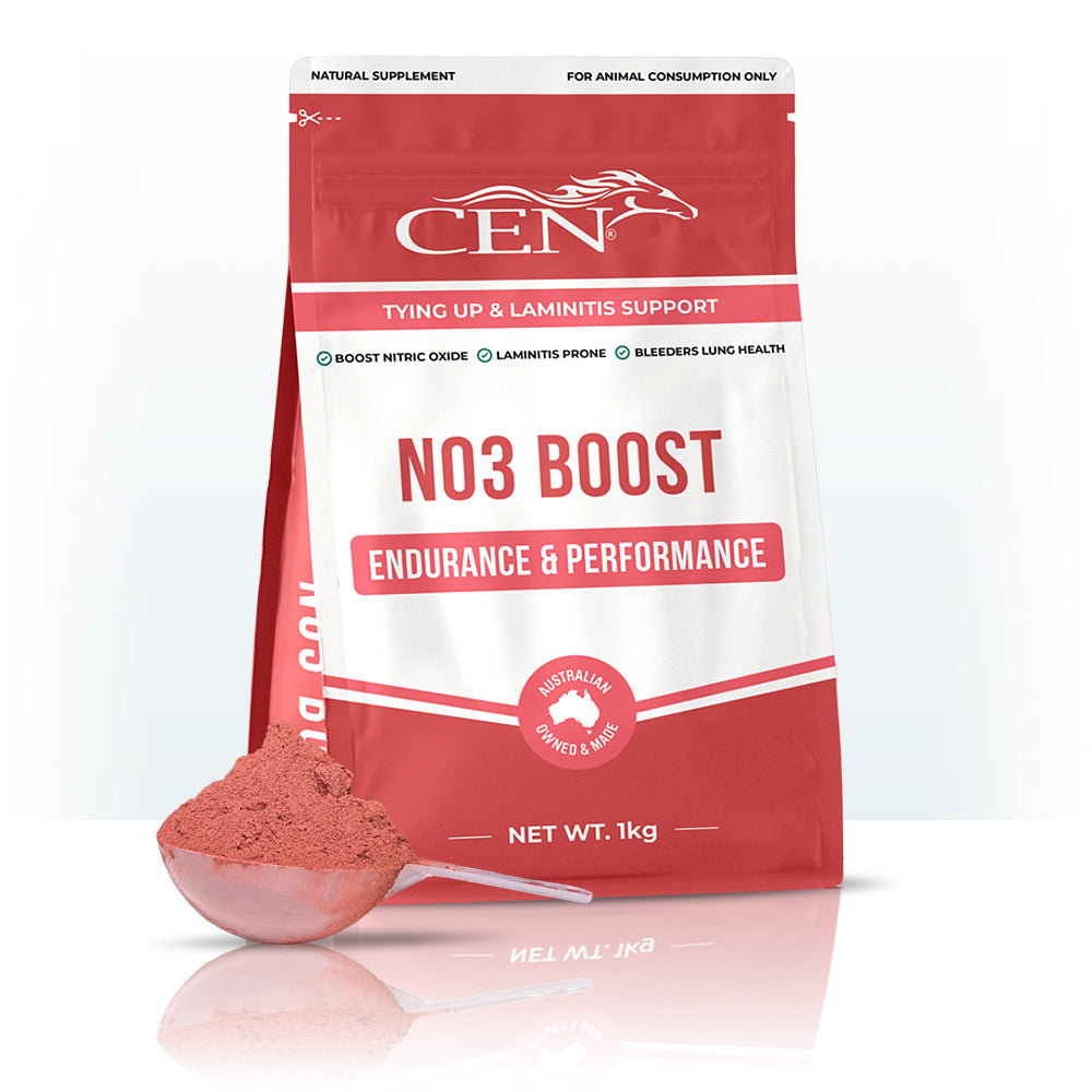 CEN NO3 BOOST 1kg