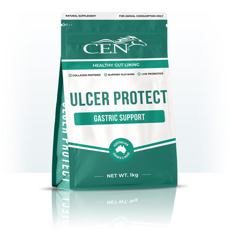 CEN Ulcer Protect Equine