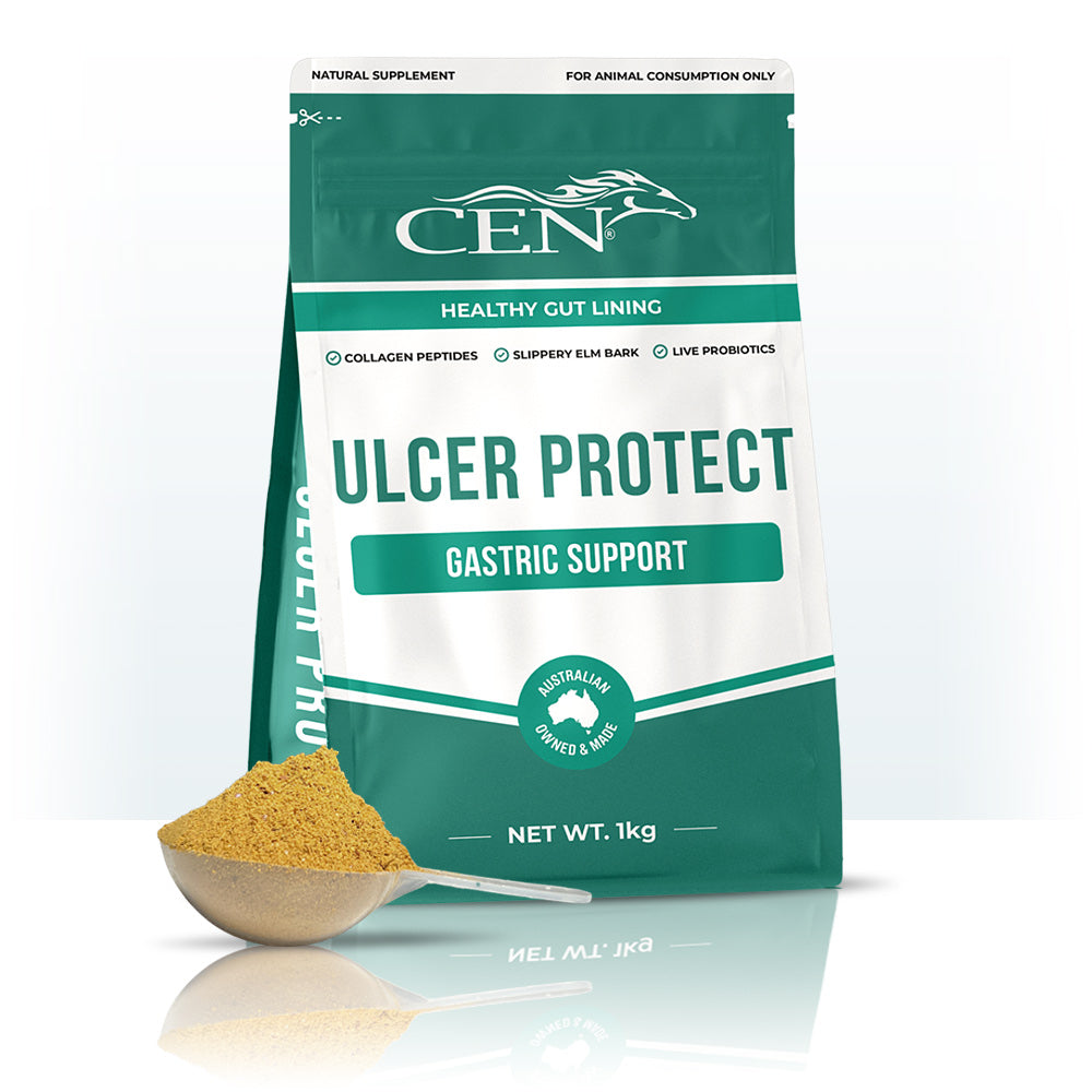 CEN Ulcer Protect Equine