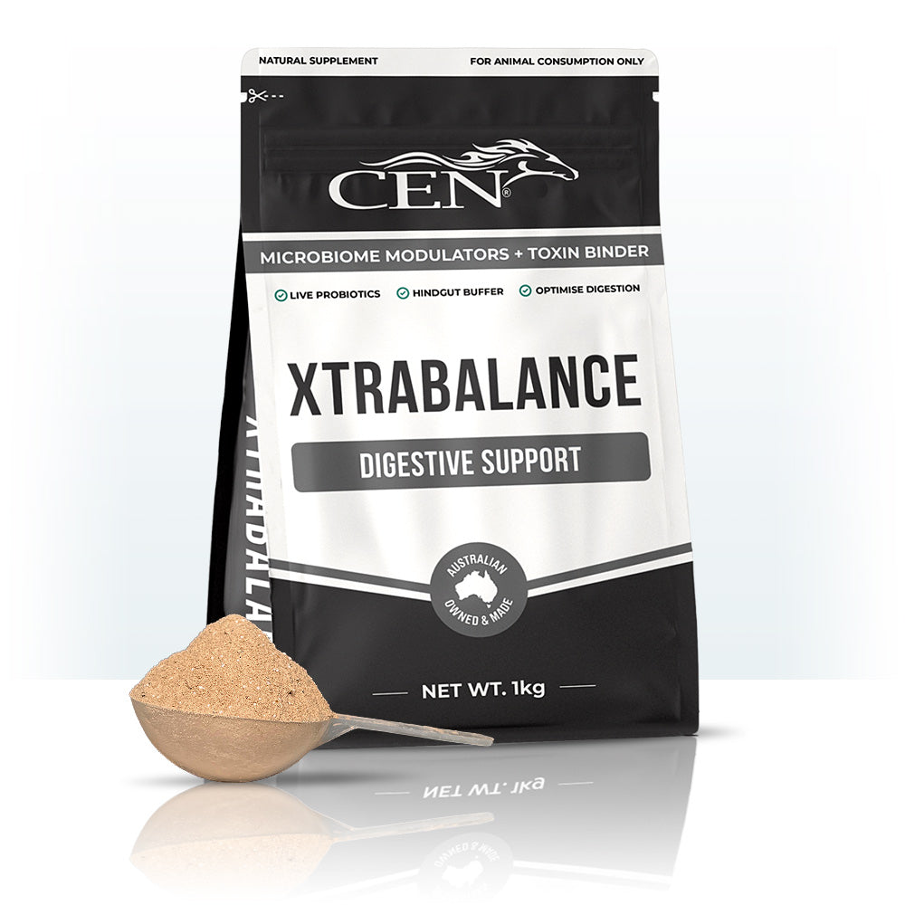 CEN XtraBalance Digestive Supplement 1kg