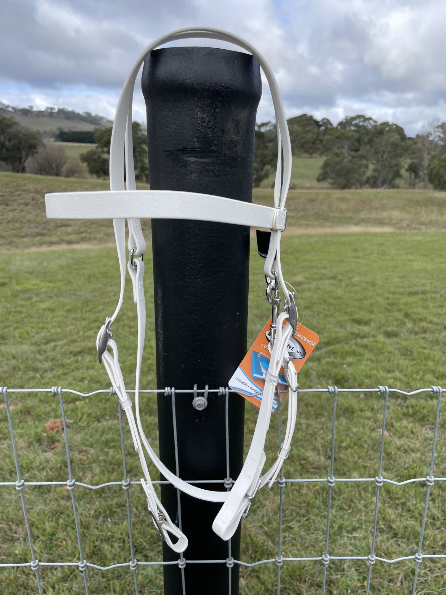 Beta Biothane Bridle - Light Hardware