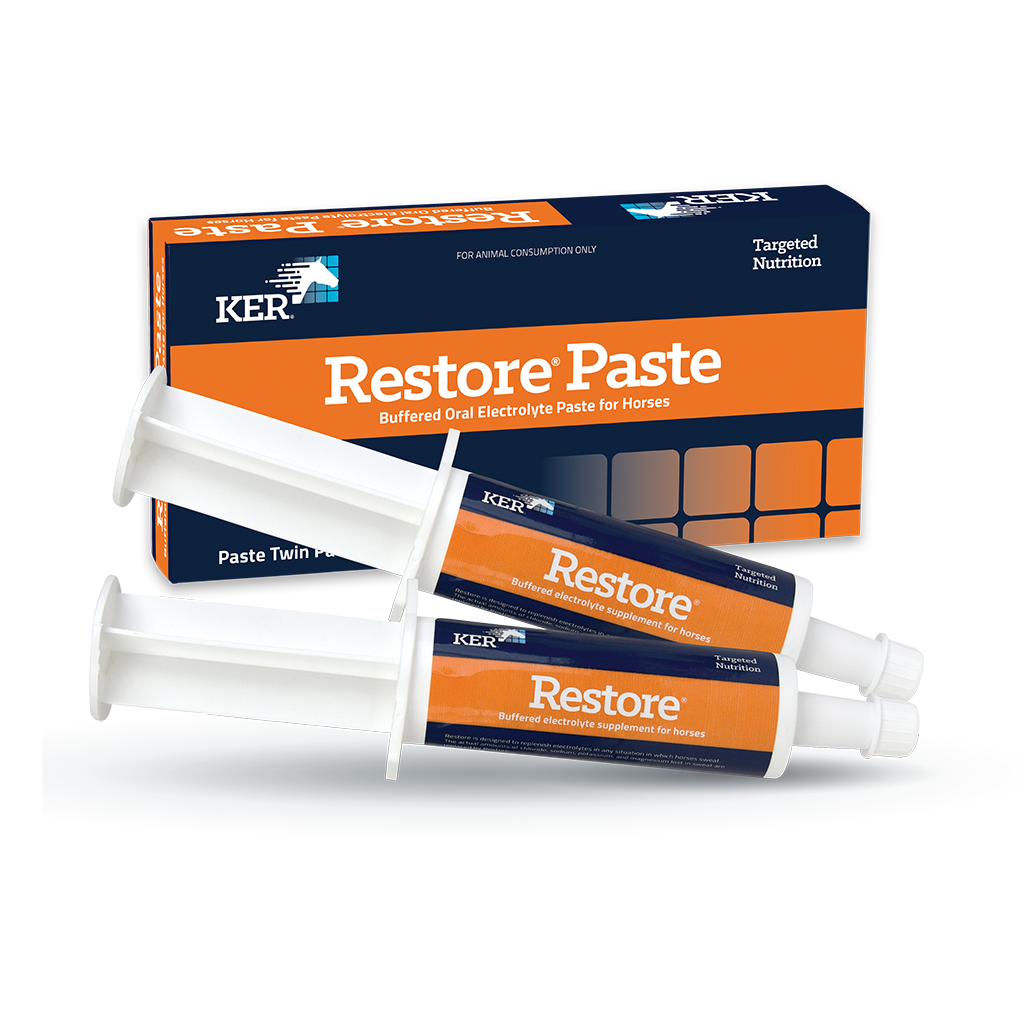 Restore Paste-Twin Pack