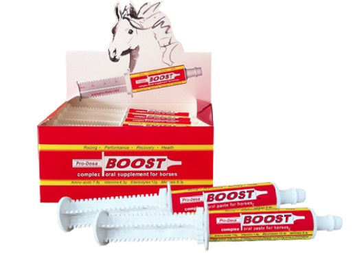 Pro-Dosa Boost Paste 80ml Single Tube