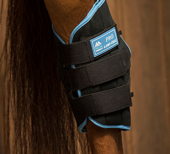 Pro Cooling Therapy Ice Hock Boots