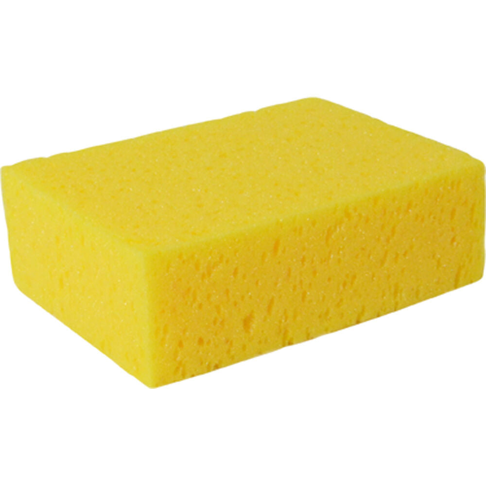 Sponge